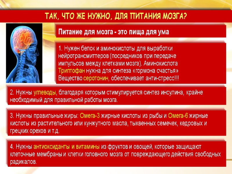 ТАК, ЧТО ЖЕ НУЖНО, ДЛЯ ПИТАНИЯ МОЗГА? Питание для мозга - это пища для